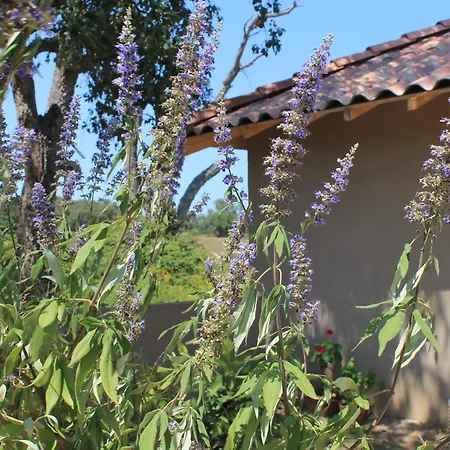 Casamea - T3 U Benesta Talasani