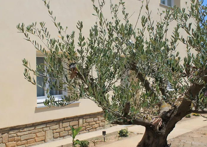 公寓 Casamea - T3 U Benesta *