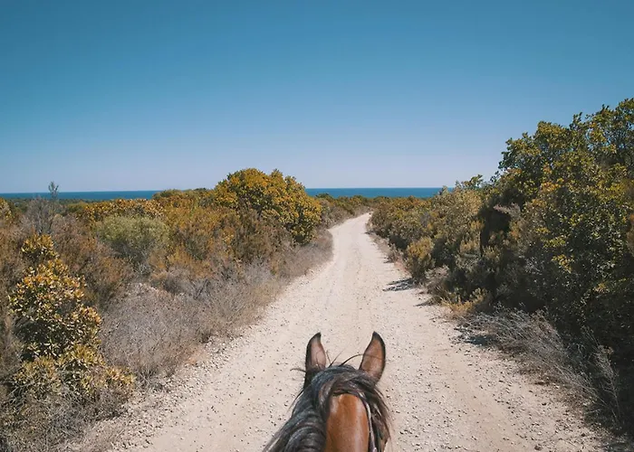 Casamea - T3 U Benesta