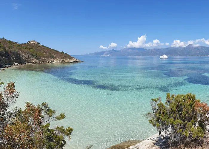 Casamea - T3 U Benesta 公寓 Talasani