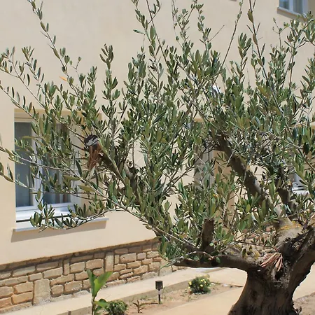 アパート Casamea - T3 U Benesta *