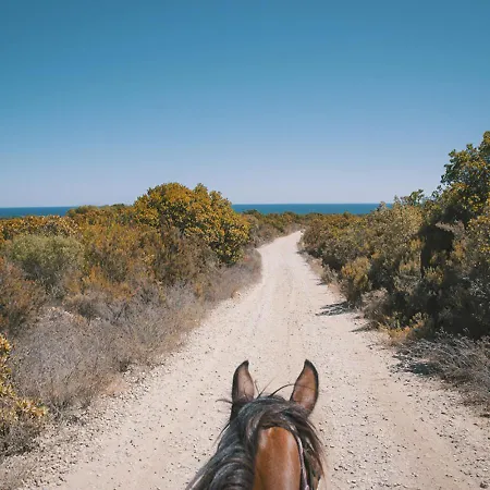 Casamea - T3 U Benesta