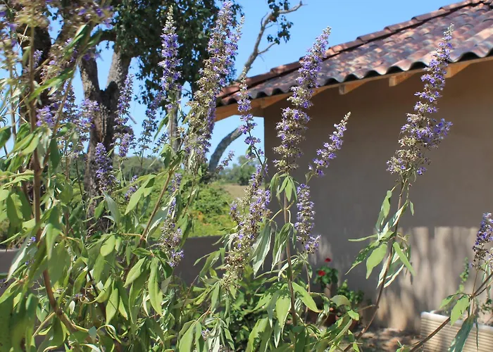 Casamea - T3 U Benesta Talasani